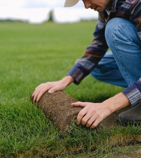 Transform Your Lawn with The Complete Sod Services Long Island