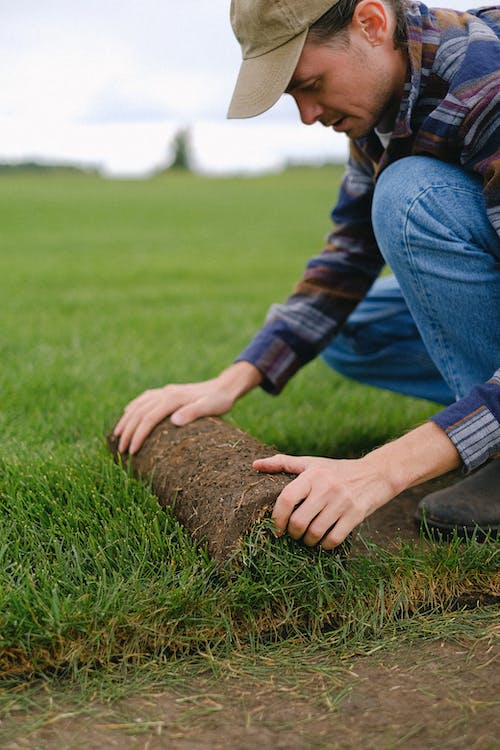 Transform Your Lawn with The Complete Sod Services Long Island